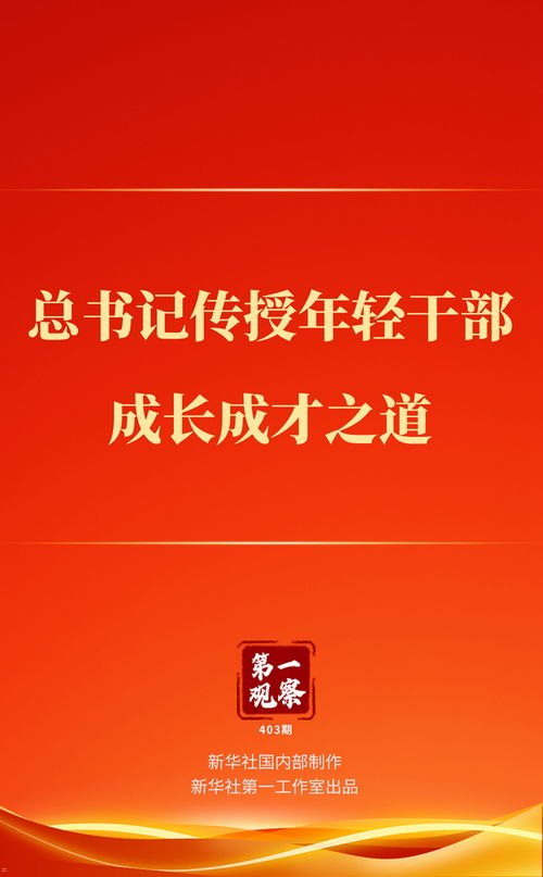 172号卡分销一级代理，机遇、挑战与成功之道172号卡分销一级代理推荐码