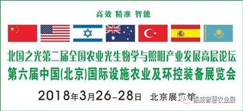 流量卡推广是个什么业务？全面解析这一新兴市场流量卡推广是个什么业务类型