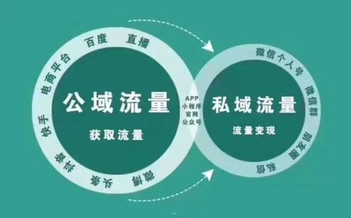 精准流量推广是真的吗？揭秘其背后的真相与价值精准流量推广是真的吗还是假的