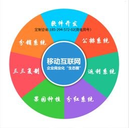 127号卡分销系统，革新分销模式的未来之路127号卡分销系统官网