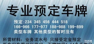 靓号代理，数字时代的身份象征与商业机遇靓号代理