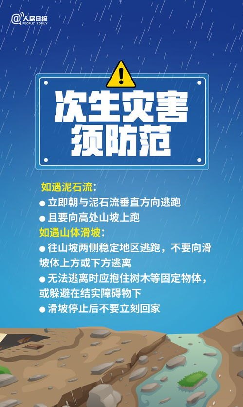 三网大流量卡代理，市场机遇与创业指南三网大流量卡代理多少钱