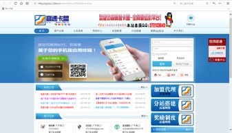 卡盟代理，网络虚拟商品交易的新兴模式卡盟代理怎么做