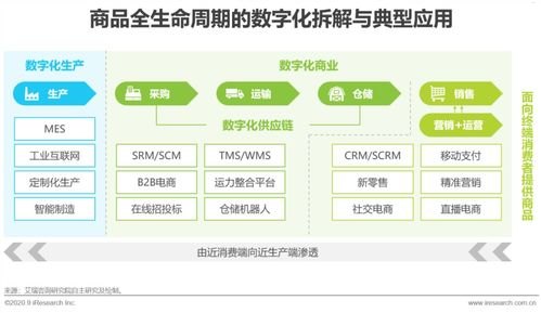 卡号分销，数字化时代的商业新机遇与挑战卡号分销平台
