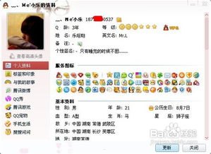 手机靓号免费代理渠道，机遇与挑战并存的市场手机靓号免费代理渠道有哪些