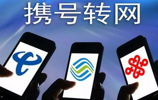 移动手机卡代理，市场机遇、运营模式与未来趋势分析移动手机卡代理补办流程