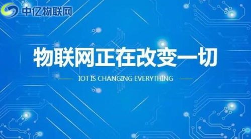 号卡一级代理，行业优势与市场前景分析林夕号卡一级代理