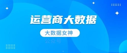 菜网联盟号卡分销系统，重塑通信行业分销模式的创新力量菜网联盟号卡分销系统怎么样