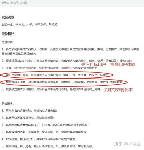 流量网站推广，如何高效吸引目标用户并提升转化率流量网站推广怎么做