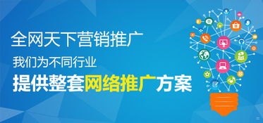 如何有效推广流量，全面策略与实用技巧怎么推广流量卡