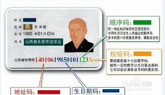 靓号代理，数字时代的身份象征与商业机遇靓号代理平台