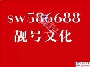 手机靓号代理全攻略，如何选择、获取与销售高价值号码怎么代理手机靓号赚钱