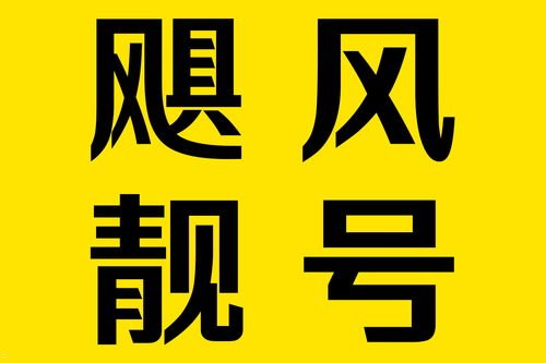 手机靓号批发代理，市场前景与经营策略全解析手机靓号批发代理怎么做