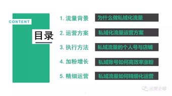 流量推广运营，从策略到执行的全方位指南流量推广运营公司