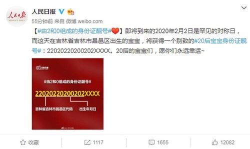 靓号代理平台，数字时代的身份象征与商业机遇靓号代理平台有哪些