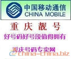 靓号代理平台，数字时代的身份象征与商业机遇靓号代理平台有哪些