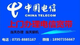 靓号一级代理，市场机遇与商业价值深度解析靓号一级代理什么意思