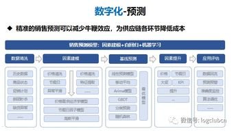 敢探号一级供应商代码，供应链管理的核心要素敢探号订单管理与分销系统