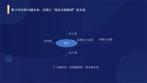 91敢探号，揭秘数字时代的探险精神91敢探号发卡网一手货源怎么来的