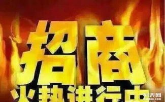 172号卡黑钻代理，揭秘背后的运作模式与风险警示172号卡黑钻代理怎么搞