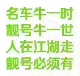 手机靓号网代理，商机与运营全解析手机靓号代理平台