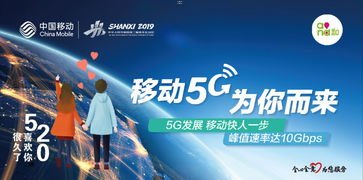 揭秘手机靓号免费代理渠道，如何零成本获取高价值号码资源手机靓号免费代理渠道有哪些