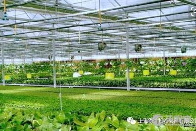物联卡分销平台，连接万物，赋能商业的智能桥梁物联卡分销平台有哪些