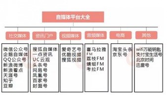 可以做推广流量的平台有哪些？全面解析各大推广渠道可以做推广流量的平台有哪些呢