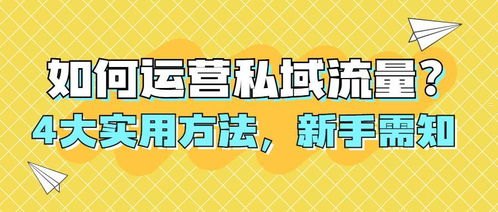 如何做流量推广，全面指南与实用策略流量推广怎么做