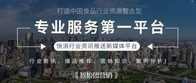 号卡一级代理，行业优势与市场机遇深度解析林夕号卡一级代理