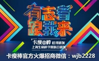 号卡一级代理，行业优势与市场机遇深度解析林夕号卡一级代理