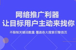 网络推广流量，提升品牌曝光与转化的关键策略网络推广流量技巧
