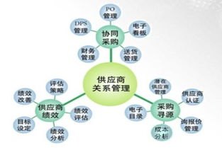敢探号一级供应商代码，供应链数字化转型的核心引擎敢探号订单管理与分销系统
