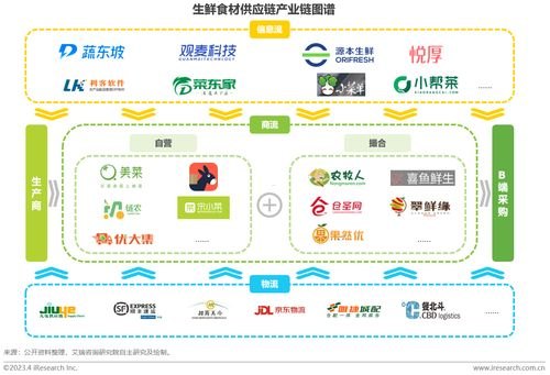 敢探号一级供应商代码，供应链数字化转型的核心引擎敢探号订单管理与分销系统