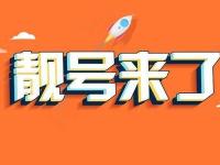 手机靓号代理怎么做，全面指南与市场分析手机靓号代理怎么做的